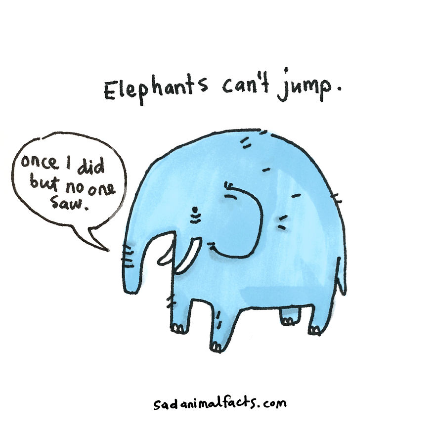 23 cool facts about elephants