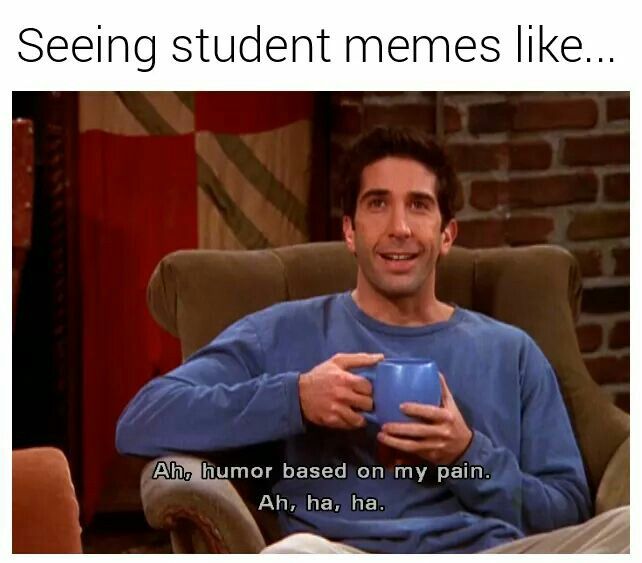 student memes - Seeing student memes ... Ah, humor based on my pain. Ah, ha, ha.