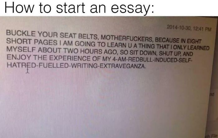 document - How to start an essay , Buckle Your Seat Belts, Motherfuckers, Because In Eight Short Pages I Am Going To Learn U A Thing That I Only Learned Myself About Two Hours Ago, So Sit Down, Shut Up, And Enjoy The Experience Of My 4AmRedbullInducedSelf