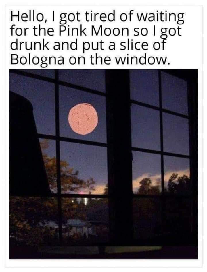bizarre and wtf posts - bologna on the window - Hello, I got tired of waiting for the Pink Moon so I got drunk and put a slice of Bologna on the window.