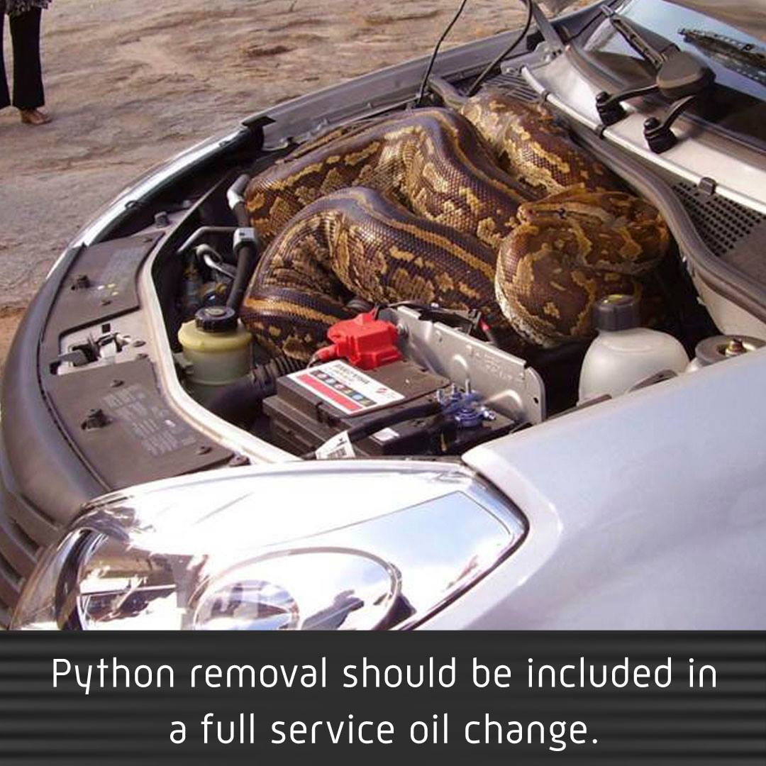 car repairs gone wrong - Tott Python removal should be included in a full service oil change.