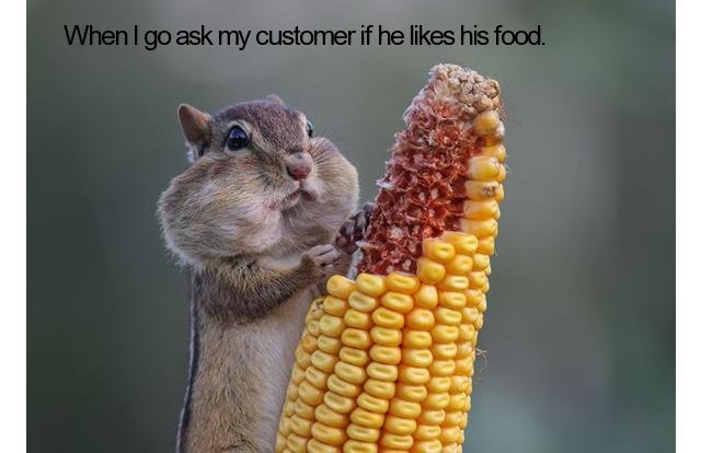 animals silly - When I go ask my customer if he his food.