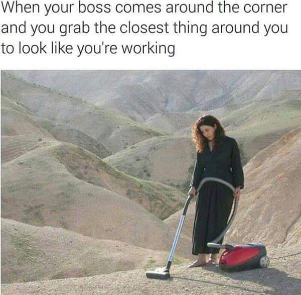 your boss comes around the corner meme - When your boss comes around the corner and you grab the closest thing around you to look you're working
