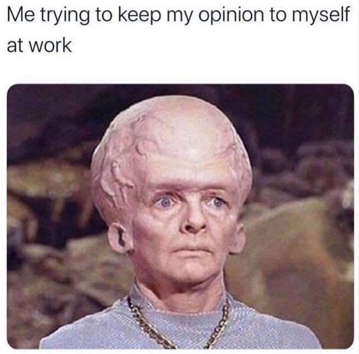 expert memes - Me trying to keep my opinion to myself at work