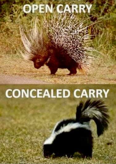open carry concealed carry meme - Open Carry Concealed Carry