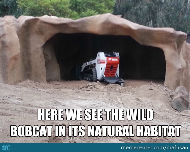 san diego zoo funny - Wheel Here We See The Wild Bobcat In Its Natural Habitat Mc memecenter.commafusan