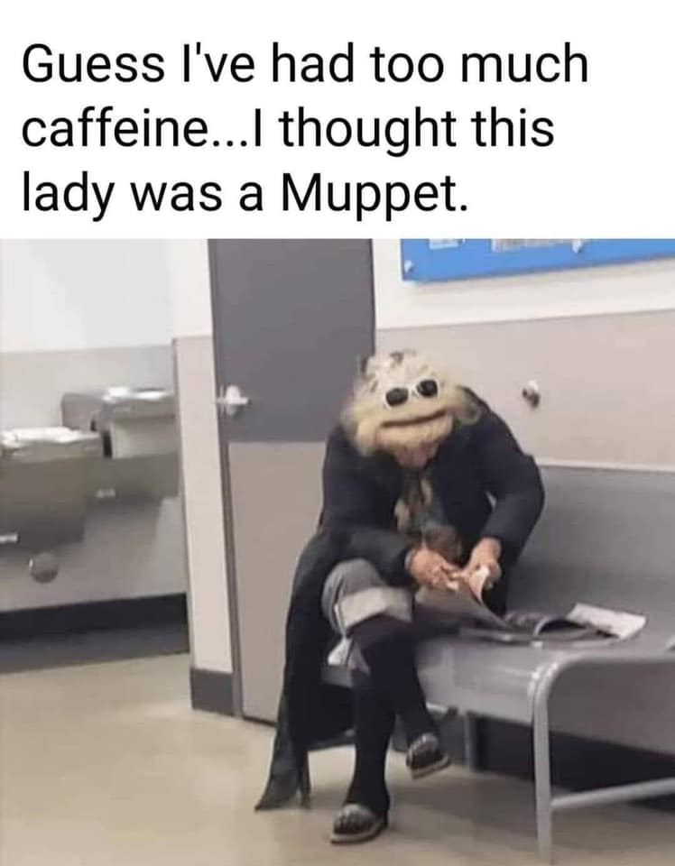 muppet lady meme - Guess I've had too much caffeine...I thought this lady was a Muppet.