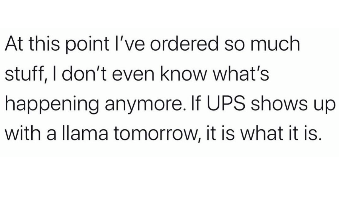 roses are red violets are blue programmer - At this point l've ordered so much stuff, I don't even know what's happening anymore. If Ups shows up with a llama tomorrow, it is what it is.