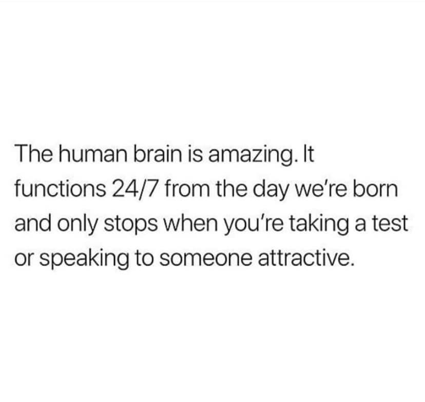 mental health education meme - The human brain is amazing. It functions 247 from the day we're born and only stops when you're taking a test or speaking to someone attractive.