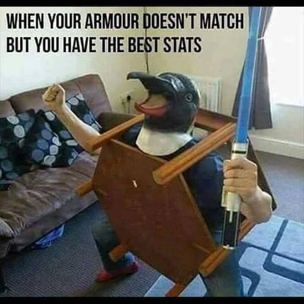 funny gaming memes --  your armor doesn t match - When Your Armour Doesn'T Match But You Have The Best Stats