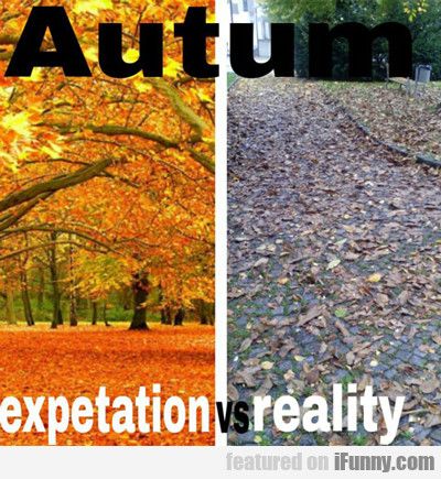 23 Fall Memes That Are Still Too Hot for Jeans