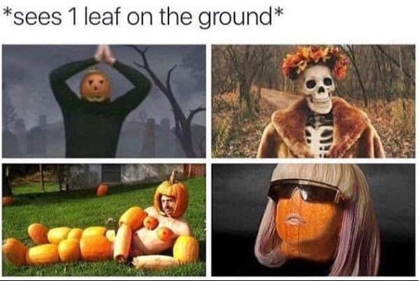 fall memes funny - sees 1 leaf on the ground