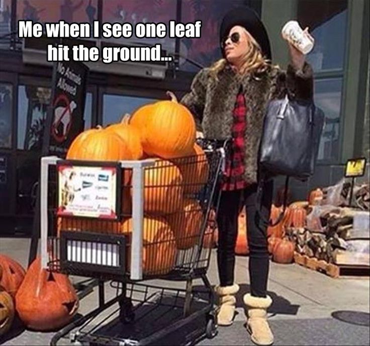 fall memes funny - Me when I see one leaf hit the ground... Noved