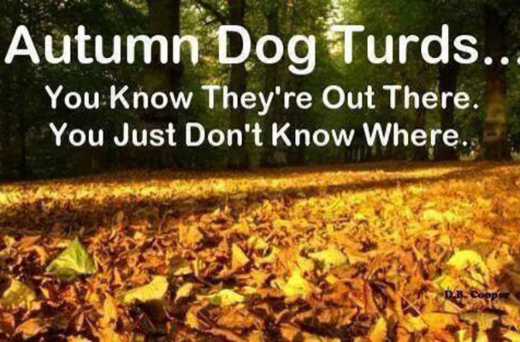autumn dog turds - Autumn Dog Turds... You Know They're Out There. You Just Don't Know Where. D.B. Cagpo