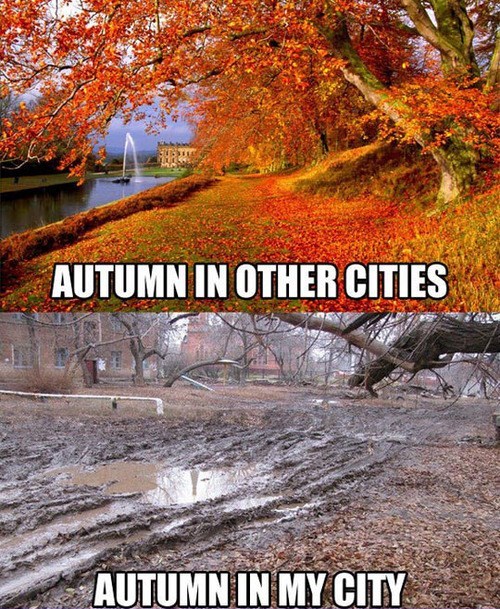 funny fall meme - Autumn In Other Cities Autumn In My City