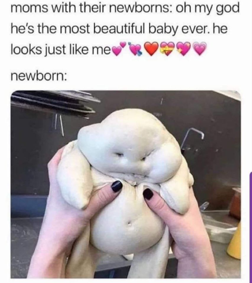 beautiful baby meme - moms with their newborns oh my god he's the most beautiful baby ever. he looks just me newborn
