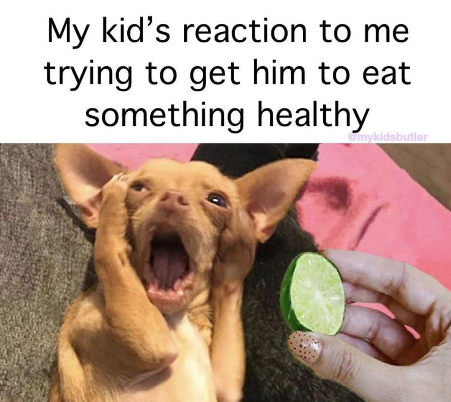 funny animals - My kid's reaction to me trying to get him to eat something healthy omykidsbutler