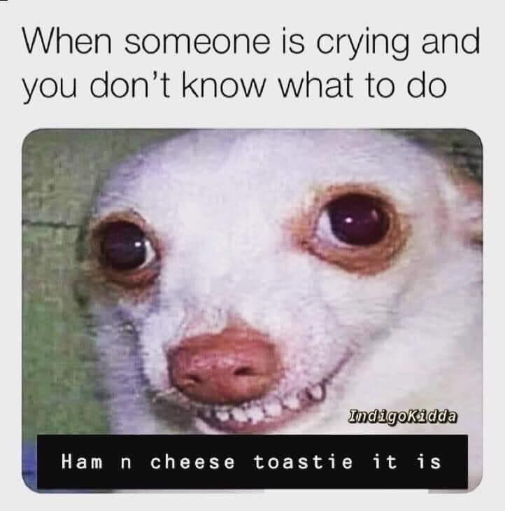 funny memes - When someone is crying and you don't know what to do IndigoKidda Hamn cheese toastie it is