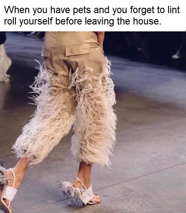 you have pets and forget to lint roll - When you have pets and you forget to lint roll yourself before leaving the house.