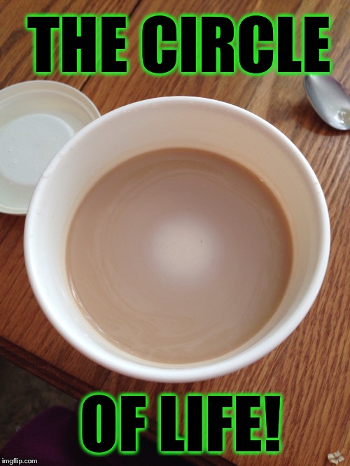 coffee memes - international tea - The Circle Of Life! imgflip.com