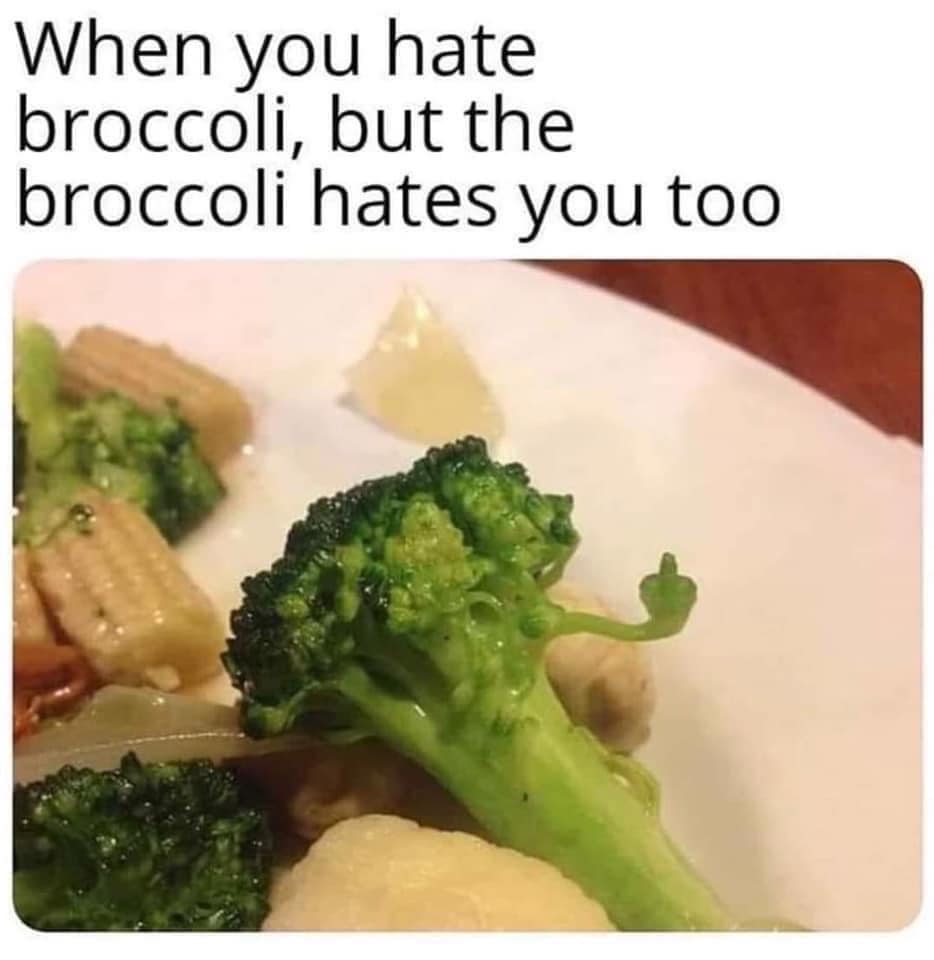 funny memes - hilarious memes - you hate broccoli - When you hate broccoli, but the broccoli hates you too