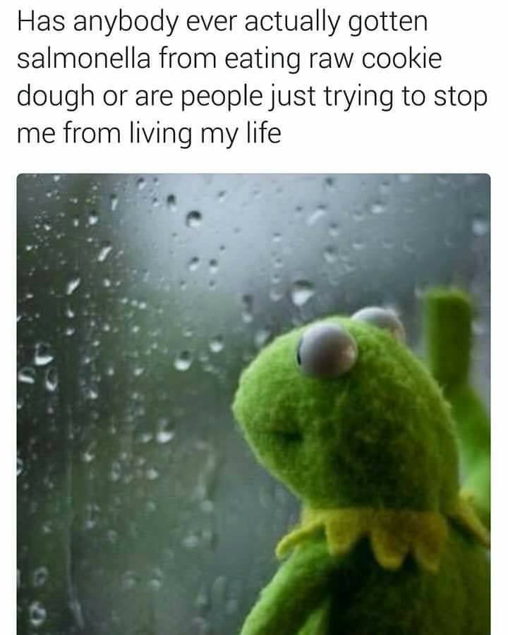 funny memes - hilarious memes - cookie dough salmonella meme - Has anybody ever actually gotten salmonella from eating raw cookie dough or are people just trying to stop me from living my life