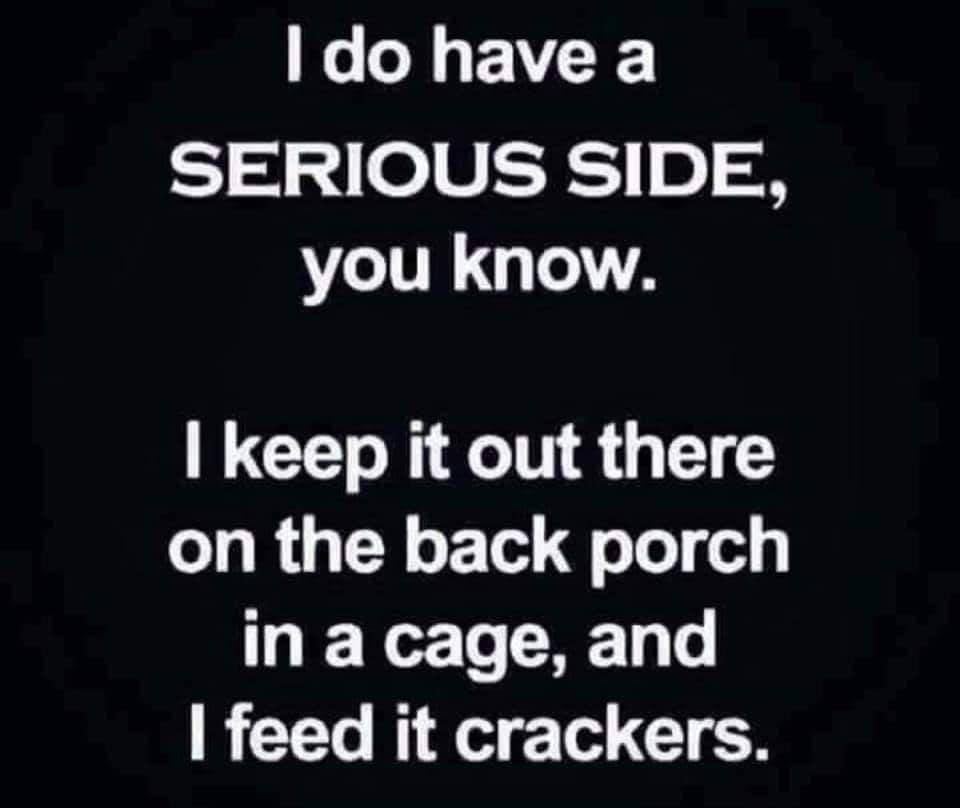 funny memes - hilarious memes - trust to become successful - I do have a Serious Side, you know. I keep it out there on the back porch in a cage, and I feed it crackers.