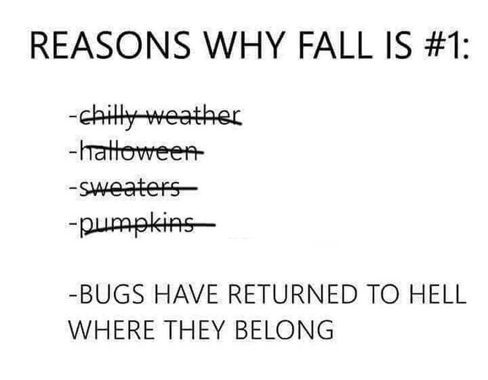 fall memes insects