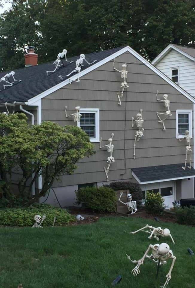 halloween pics- skeleton