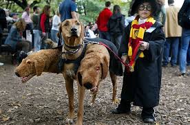 halloween harry potter dog costume - oc