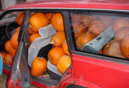 pet costumes halloween - car full of pumpkins