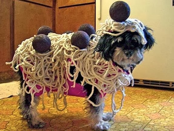 pet costumes halloween - halloween costumes for dogs