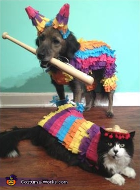 pet costumes halloween - party animals costume