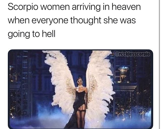 scorpio memes - heaven