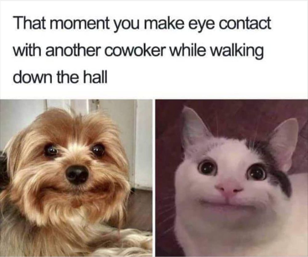 awkward smile meme - That moment you make eye contact with another cowoker while walking down the hall