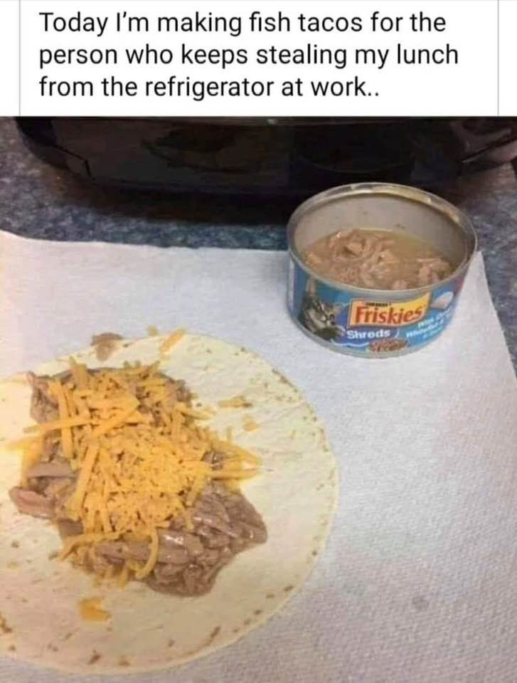 cat food taco meme - Today I'm making fish tacos for the person who keeps stealing my lunch from the refrigerator at work.. Friskies Shreds wa
