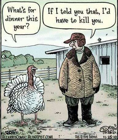 It's almost Turkey Time