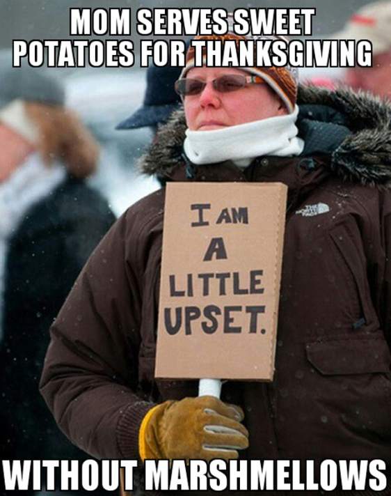 angry canadian meme - Mom Serves Sweet Potatoes For Thanksgiving I Am Little Upset. Without Marshmellows