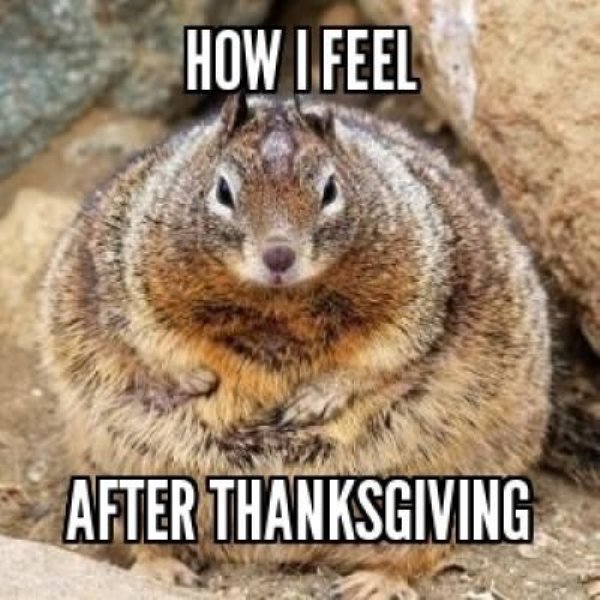 monday after thanksgiving meme - How I Feel After Thanksgiving
