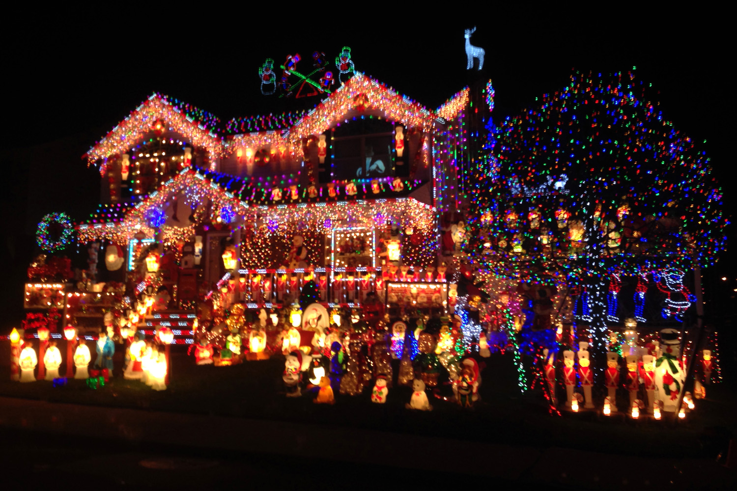 22 times people took Christmas decorations too far