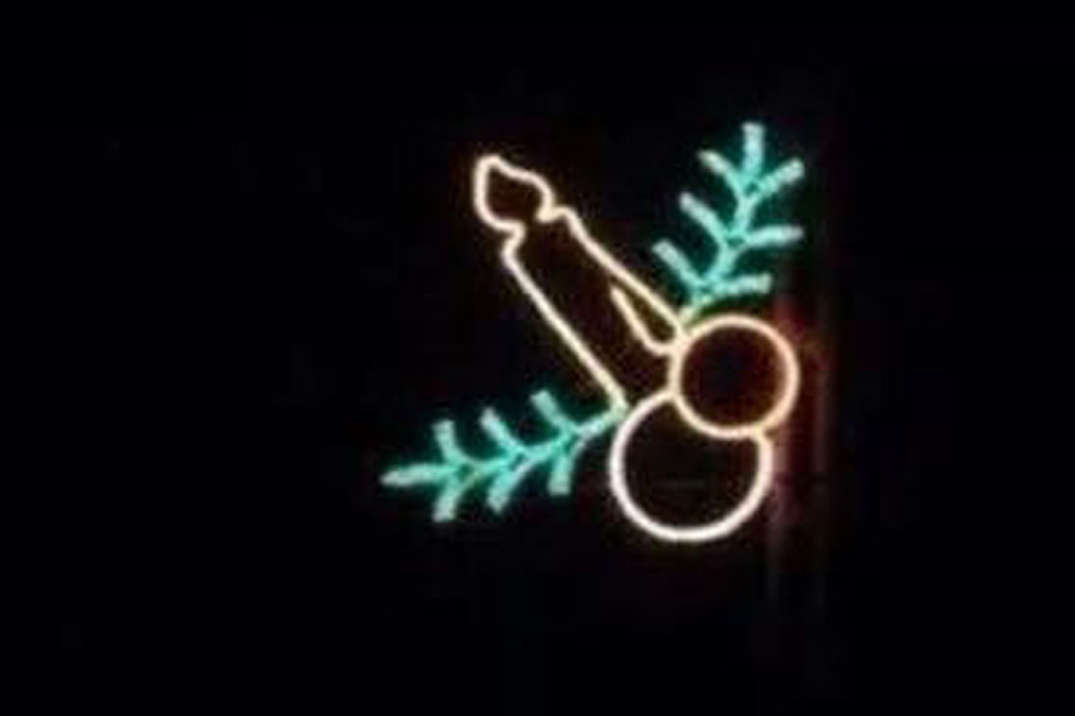 penis christmas lights