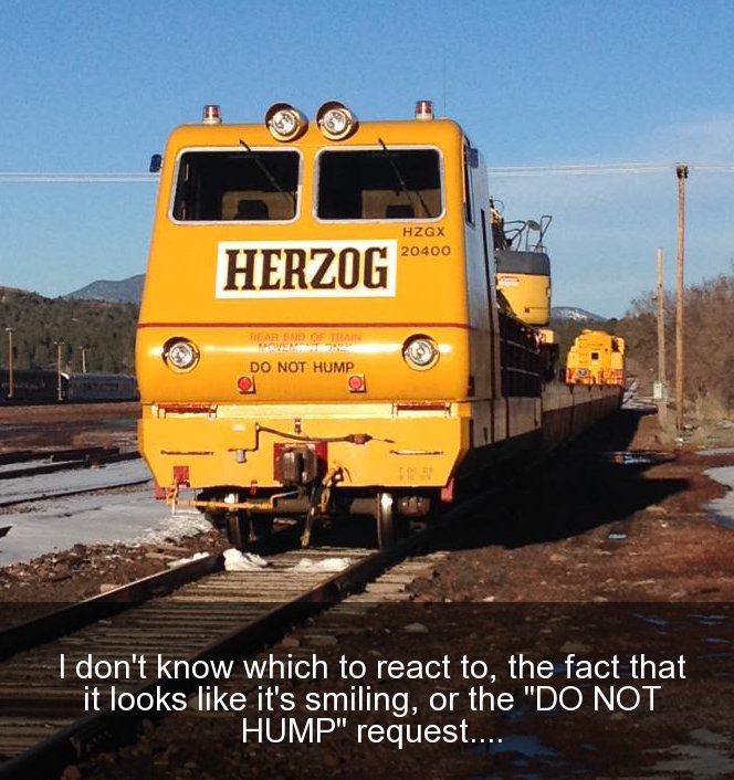 funny pics memes - track - Hzgx 20400 Herzog Rear End Of Tra Do Not Hump I don't know which to react to, the fact that it looks it's smiling, or the
