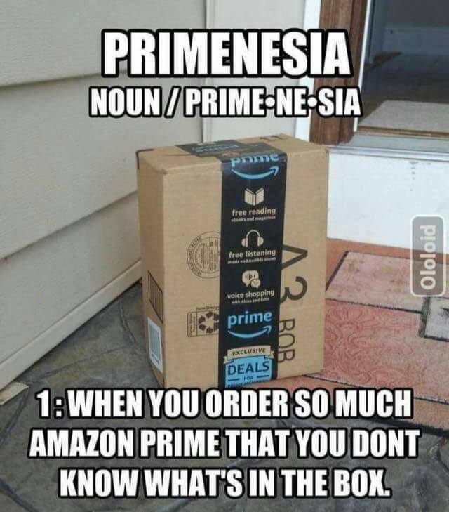 funny pics memes - funny amazon memes - Primenesia NounPrimeNeSia pume free reading free listening Ololoid voice shopping A3 Bor prime Exclusive Deals 1 When You Order So Much Amazon Prime That You Dont Know What'S In The Box.