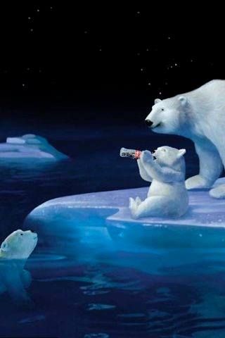 coca cola polar bear cub