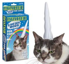 inflatable cat unicorn horn - Unflatafle For Cats Inflitate Unicorn Horn For Cats! Meitaeie For Cats Cat Love W!