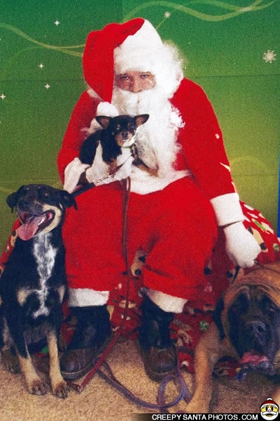pet hates christmas - funny pet photos with santa - Creepy Santa Photos.Com