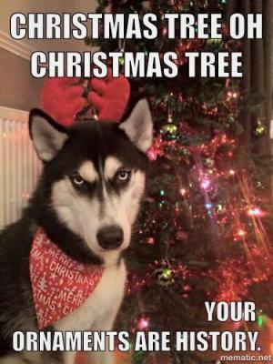 pet hates christmas - funny christmas dog memes - Christmas Tree Oh Christmas Tree Th Tha Christmas Merry Sims Me Your Ornaments Are History. mematic.net