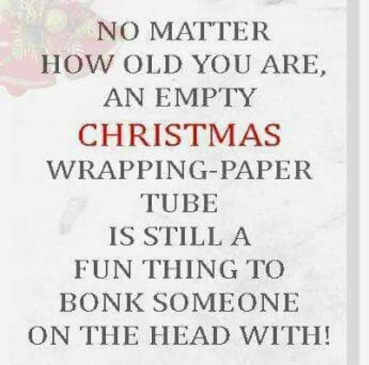 No Matter How Old You Are, An Empty Christmas WrappingPaper Tube Is Still A Fun Thing To Bonk Someone On The Head With!