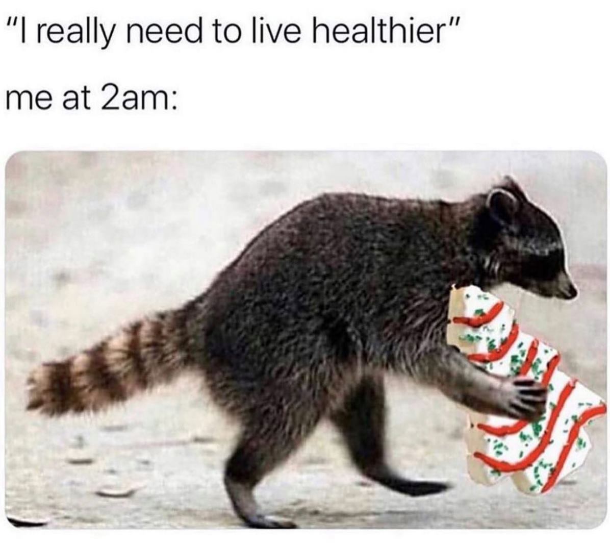 little debbie christmas tree cakes meme - "I really need to live healthier" me at 2am