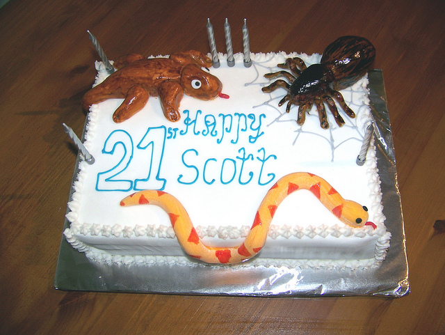 wtf cakes - birthday cake - SHappy 21 Scott
